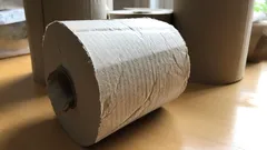 Gooi lege wc-rolletjes niet weg: Ontdek prachtige creaties voor feestdagen en verjaardagen