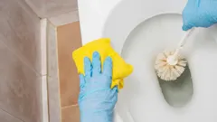 Schoon toilet zonder wrijven en moeite: gooi dit er 's nachts in en word 's ochtends verrast