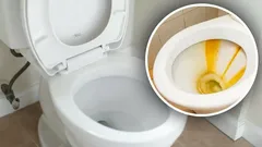 Geel vuil in het toilet verdwijnt spoorloos: gooi 's nachts deze tablet erin die elk huishouden heeft